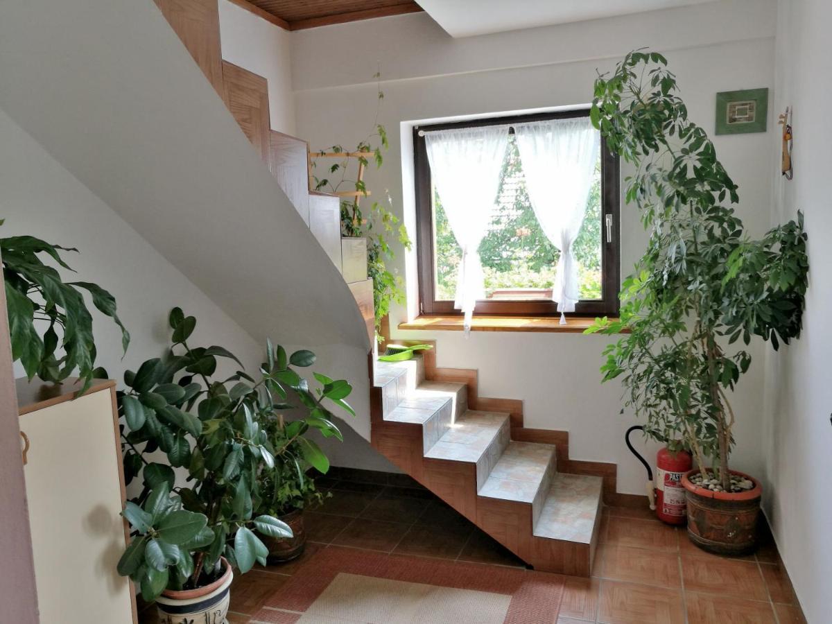 House Marica Villa Poljanak Eksteriør billede